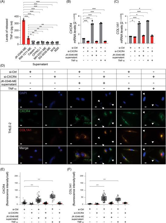https://cdn.ncbi.nlm.nih.gov/pmc/blobs/f3a5/11534464/ca0aff02a862/CTM2-14-e70067-g004.jpg
