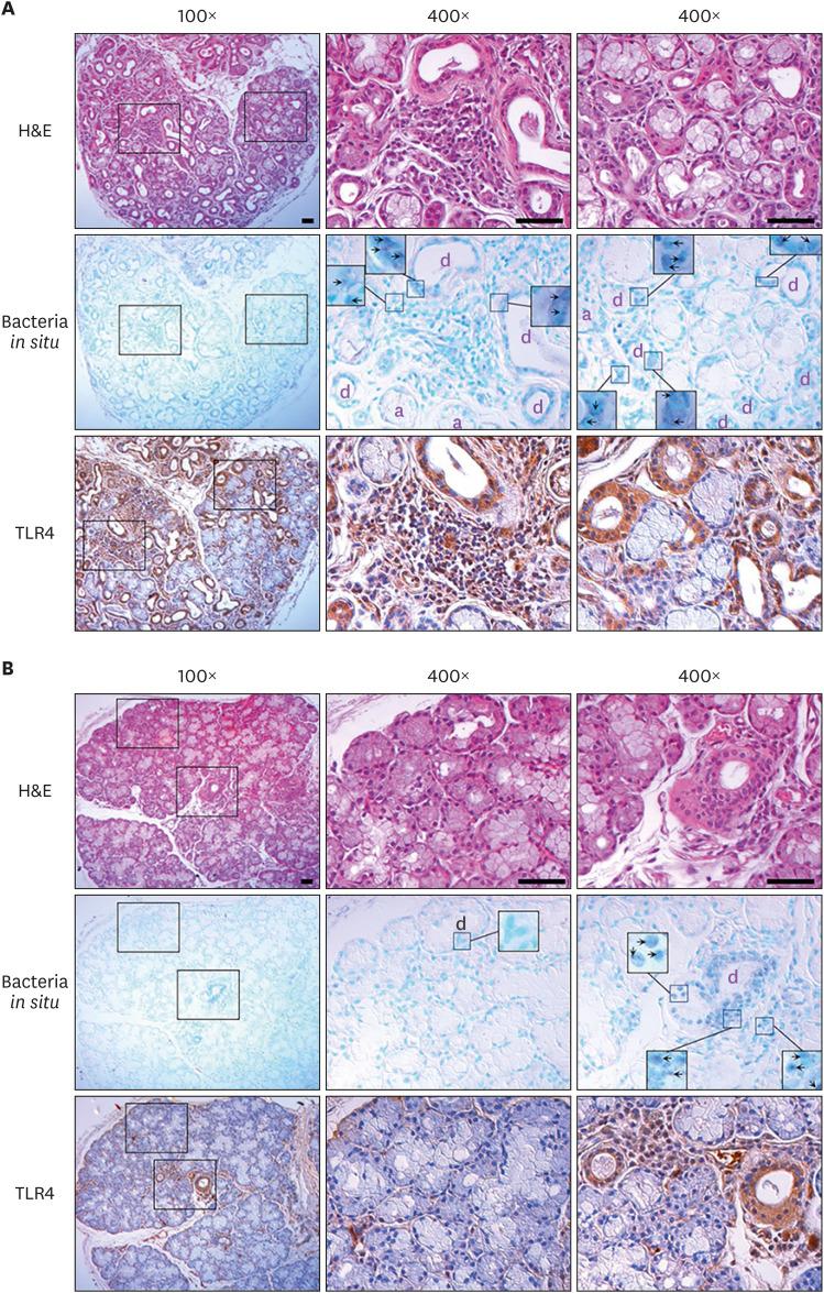 https://cdn.ncbi.nlm.nih.gov/pmc/blobs/f3a5/9433196/d1b2c297a558/in-22-e32-g003.jpg