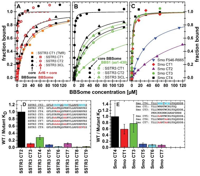 https://cdn.ncbi.nlm.nih.gov/pmc/blobs/f3a8/5700813/d3327c0058df/elife-27434-fig5.jpg