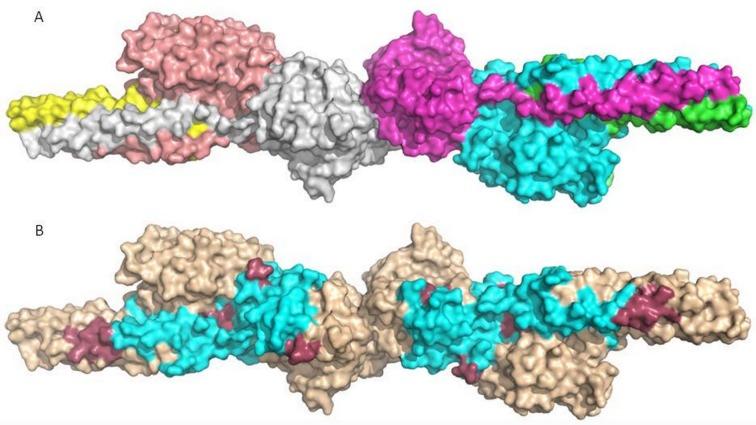 https://cdn.ncbi.nlm.nih.gov/pmc/blobs/f3a9/6375587/1805b7da634a/pone.0212104.g003.jpg
