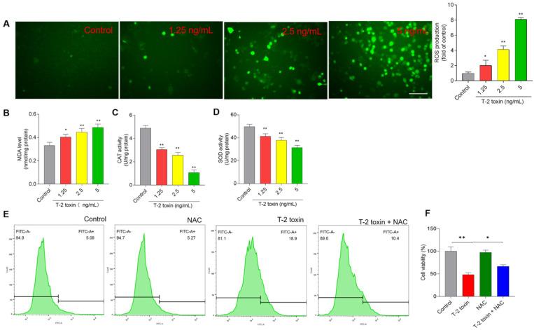 https://cdn.ncbi.nlm.nih.gov/pmc/blobs/f3a9/9330824/063652aec8e9/jof-08-00761-g004.jpg