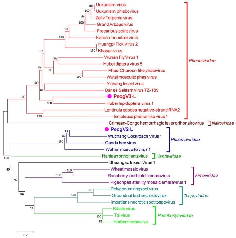 https://cdn.ncbi.nlm.nih.gov/pmc/blobs/f3ac/8232680/68218c384be5/insects-12-00556-g004.jpg