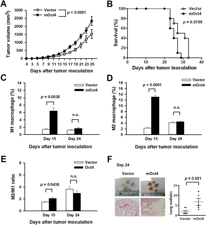 https://cdn.ncbi.nlm.nih.gov/pmc/blobs/f3ad/7268452/2cf46d3bc053/13045_2020_887_Fig4_HTML.jpg