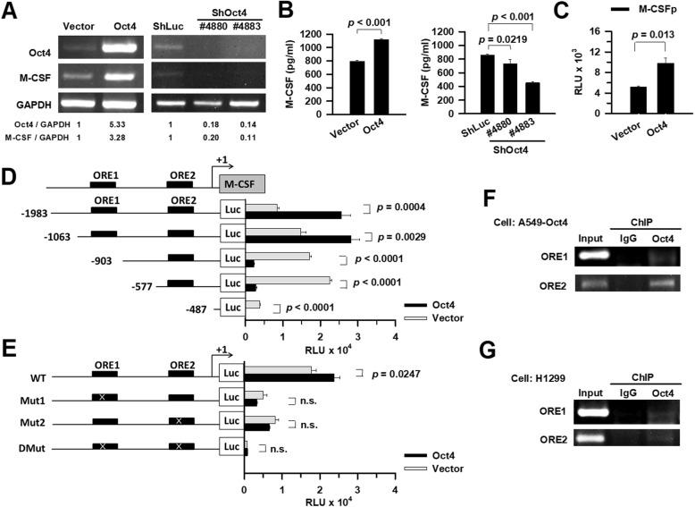 https://cdn.ncbi.nlm.nih.gov/pmc/blobs/f3ad/7268452/a2316e52590e/13045_2020_887_Fig2_HTML.jpg