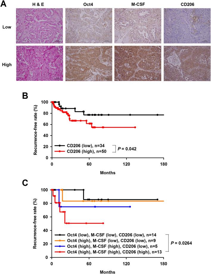 https://cdn.ncbi.nlm.nih.gov/pmc/blobs/f3ad/7268452/eb1196dd815e/13045_2020_887_Fig7_HTML.jpg