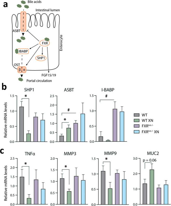 https://cdn.ncbi.nlm.nih.gov/pmc/blobs/f3ae/12412935/6d340e7664a8/pone.0331040.g003.jpg