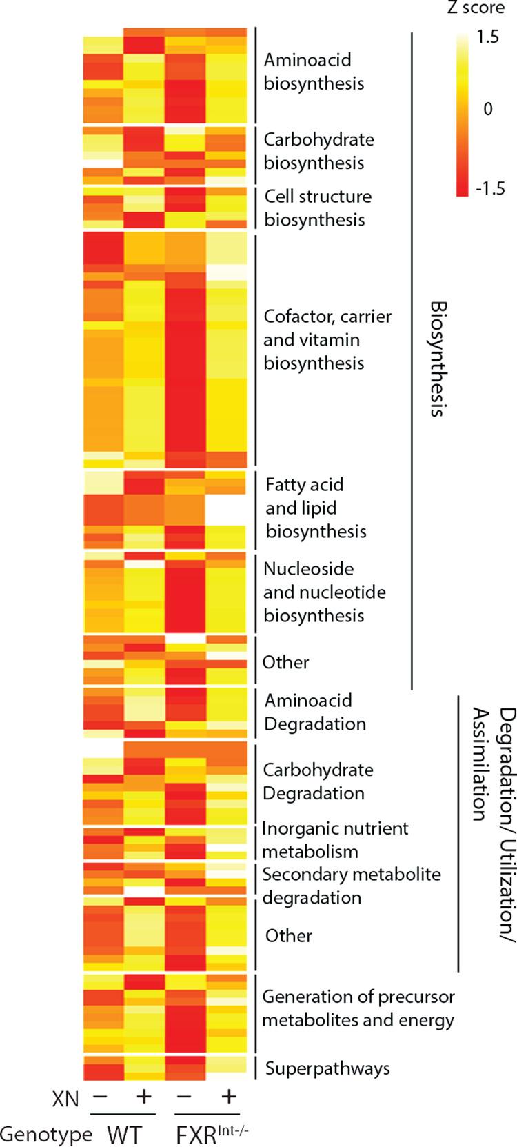 https://cdn.ncbi.nlm.nih.gov/pmc/blobs/f3ae/12412935/93a11c0c4674/pone.0331040.g007.jpg
