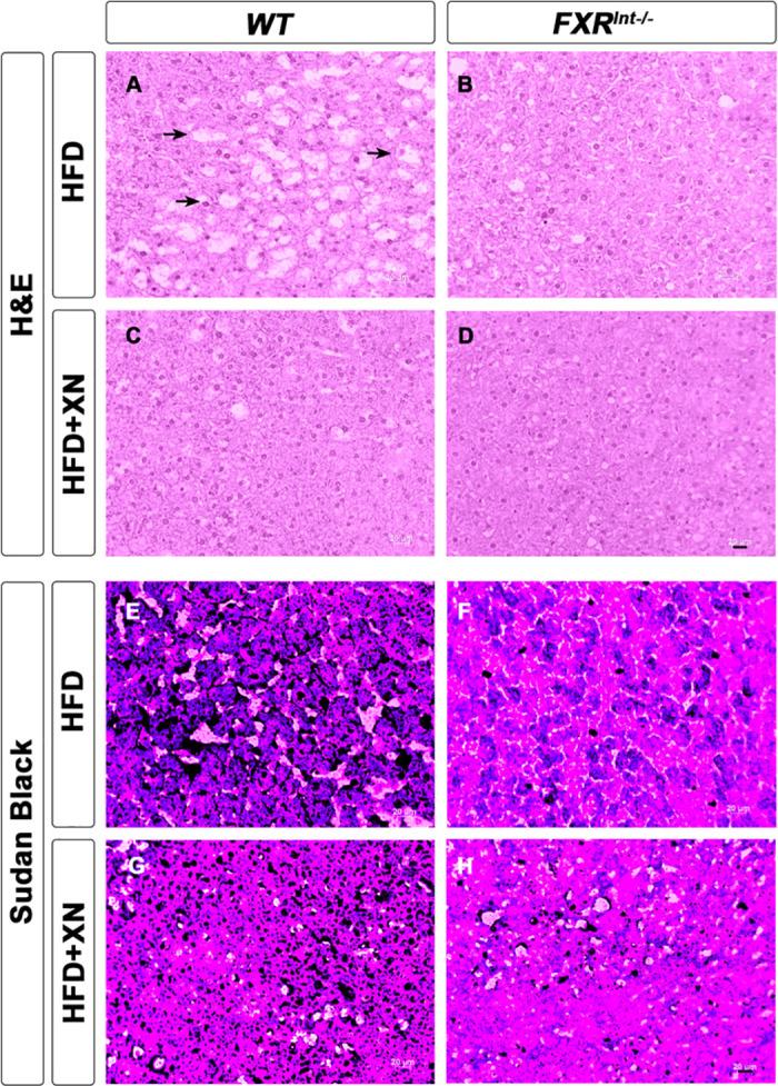 https://cdn.ncbi.nlm.nih.gov/pmc/blobs/f3ae/12412935/c7287b9854f1/pone.0331040.g002.jpg