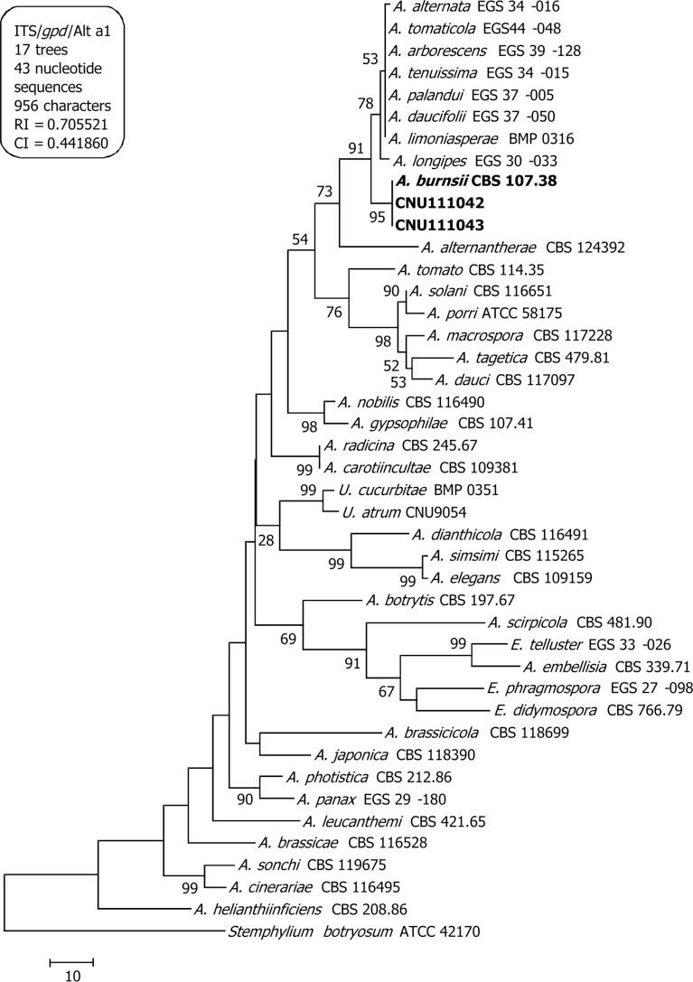 https://cdn.ncbi.nlm.nih.gov/pmc/blobs/f3af/4731642/831f6be79d1e/mb-43-384-g001.jpg