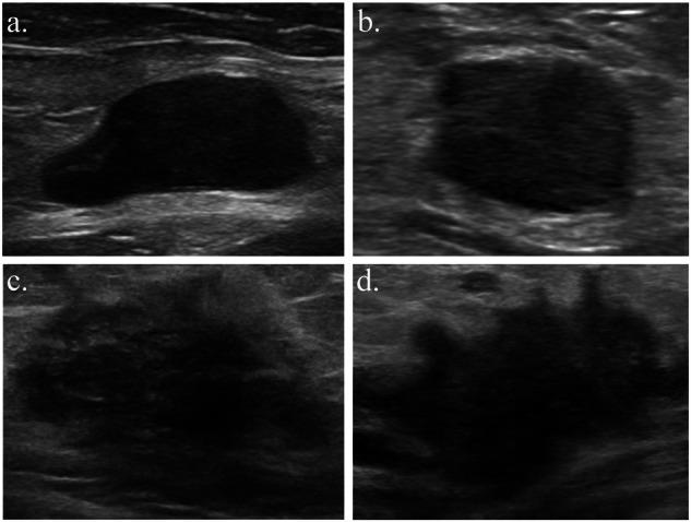 https://cdn.ncbi.nlm.nih.gov/pmc/blobs/f3b0/10933422/1e1b49dfeed1/41523_2024_628_Fig3_HTML.jpg