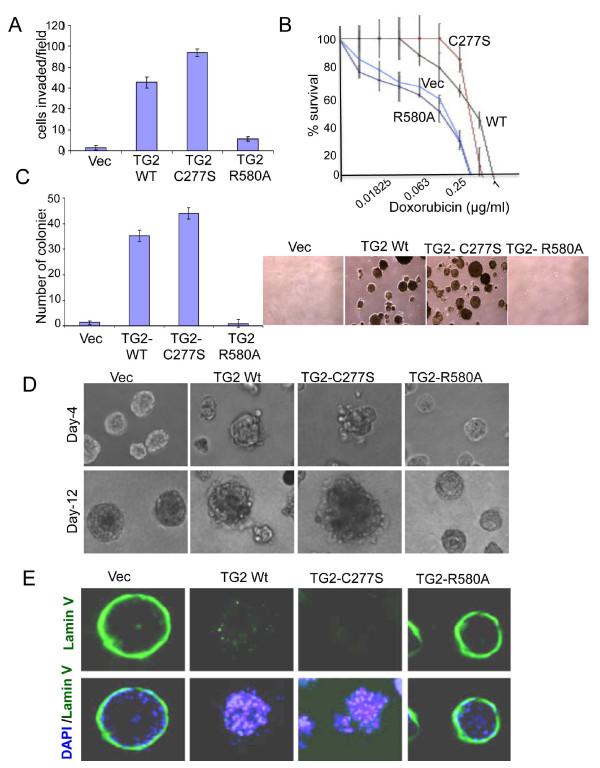 https://cdn.ncbi.nlm.nih.gov/pmc/blobs/f3b0/3496119/5400129505ff/bcr3085-4.jpg