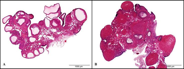 https://cdn.ncbi.nlm.nih.gov/pmc/blobs/f3b1/11254495/12f5456b26c9/expanim-73-319-g006.jpg