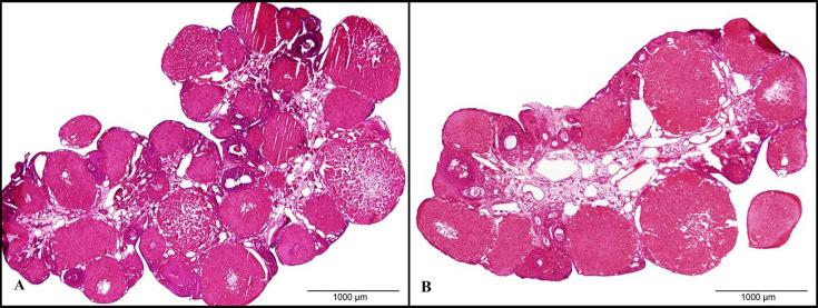 https://cdn.ncbi.nlm.nih.gov/pmc/blobs/f3b1/11254495/d9bab79d967b/expanim-73-319-g007.jpg