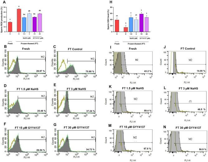 https://cdn.ncbi.nlm.nih.gov/pmc/blobs/f3b2/11137123/07153df54e37/41598_2024_62485_Fig6_HTML.jpg
