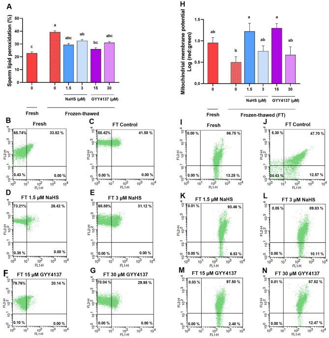 https://cdn.ncbi.nlm.nih.gov/pmc/blobs/f3b2/11137123/5b5463d4f99a/41598_2024_62485_Fig8_HTML.jpg
