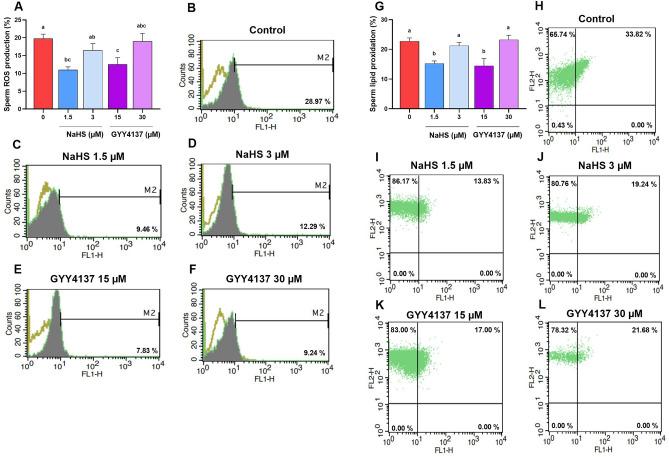 https://cdn.ncbi.nlm.nih.gov/pmc/blobs/f3b2/11137123/b0895b7784d2/41598_2024_62485_Fig4_HTML.jpg