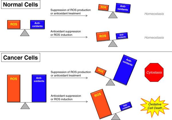https://cdn.ncbi.nlm.nih.gov/pmc/blobs/f3b2/4323058/6f797557b3ba/40170_2014_138_Fig6_HTML.jpg