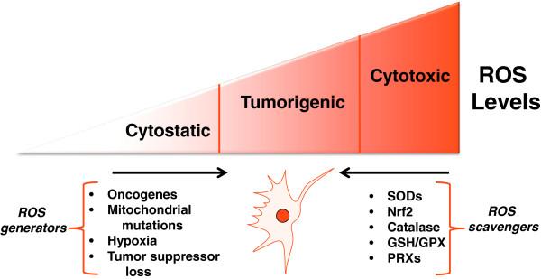 https://cdn.ncbi.nlm.nih.gov/pmc/blobs/f3b2/4323058/943d73b2bf2b/40170_2014_138_Fig2_HTML.jpg