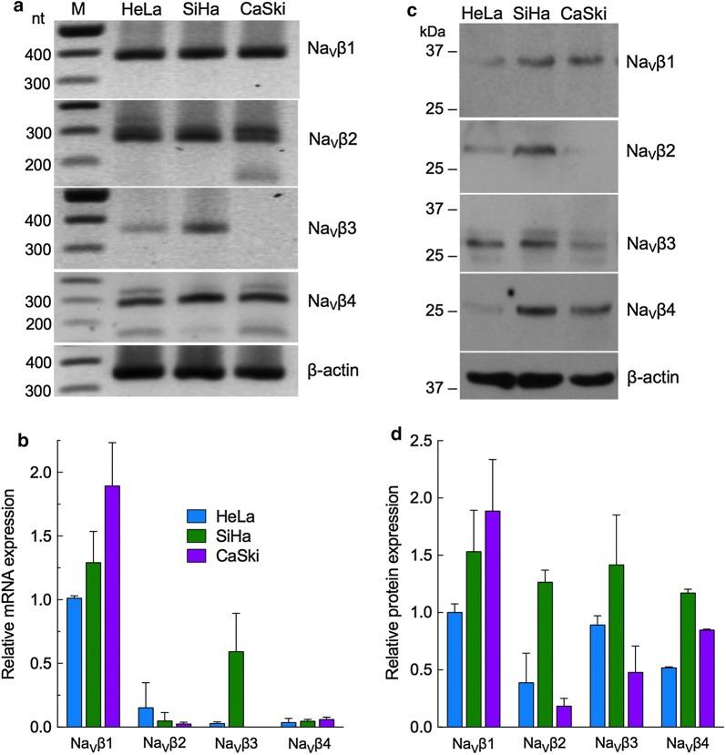 https://cdn.ncbi.nlm.nih.gov/pmc/blobs/f3b2/6377746/38b2e25cc417/12935_2019_757_Fig1_HTML.jpg