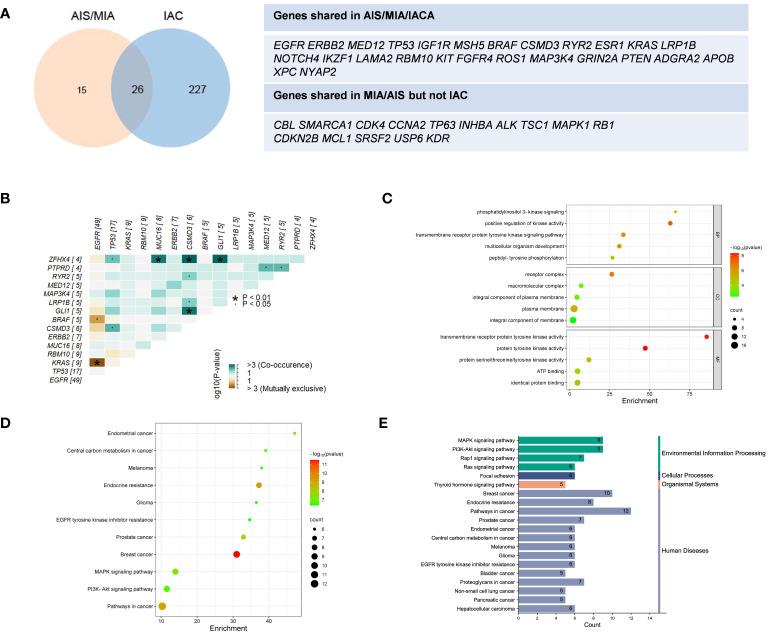 https://cdn.ncbi.nlm.nih.gov/pmc/blobs/f3b4/11128541/0787e43486e9/fonc-14-1389618-g002.jpg