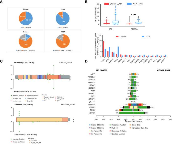 https://cdn.ncbi.nlm.nih.gov/pmc/blobs/f3b4/11128541/b7db0984068a/fonc-14-1389618-g003.jpg