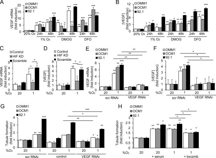 https://cdn.ncbi.nlm.nih.gov/pmc/blobs/f3b4/4884956/4a13e9a325f5/oncotarget-07-7816-g003.jpg