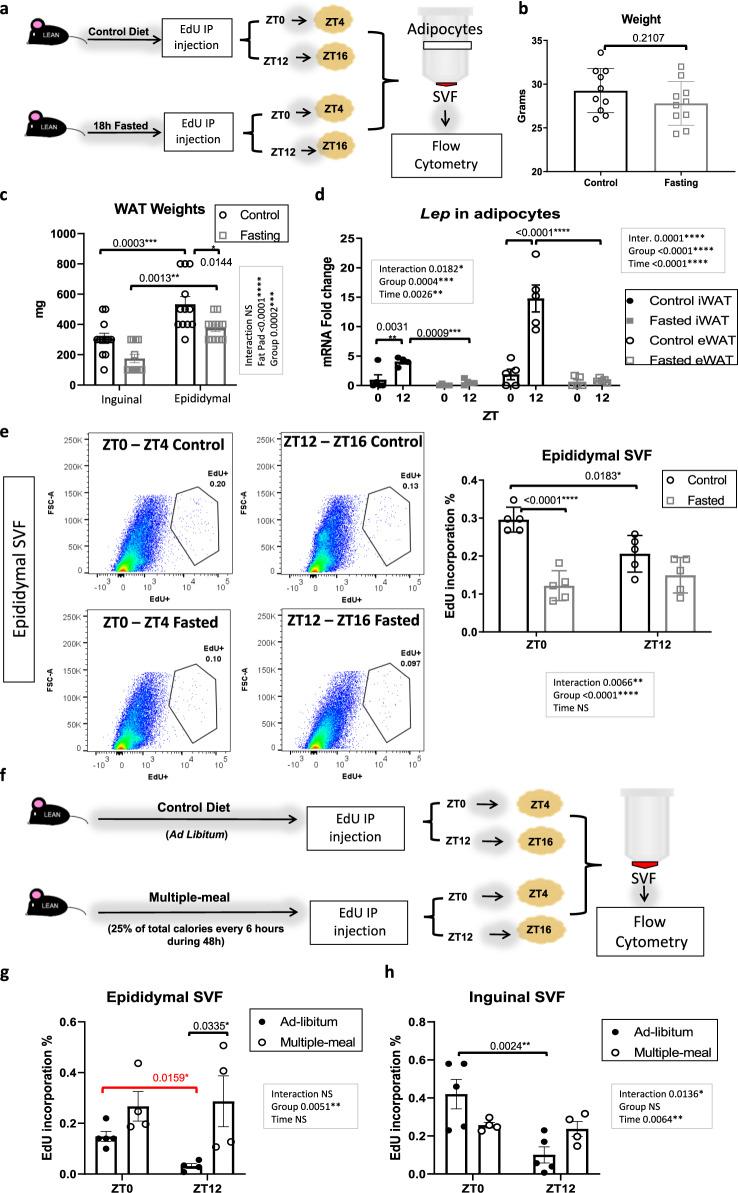https://cdn.ncbi.nlm.nih.gov/pmc/blobs/f3b4/8190103/3de10b682436/41467_2021_23770_Fig4_HTML.jpg