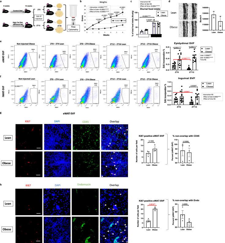 https://cdn.ncbi.nlm.nih.gov/pmc/blobs/f3b4/8190103/de354bea0099/41467_2021_23770_Fig3_HTML.jpg