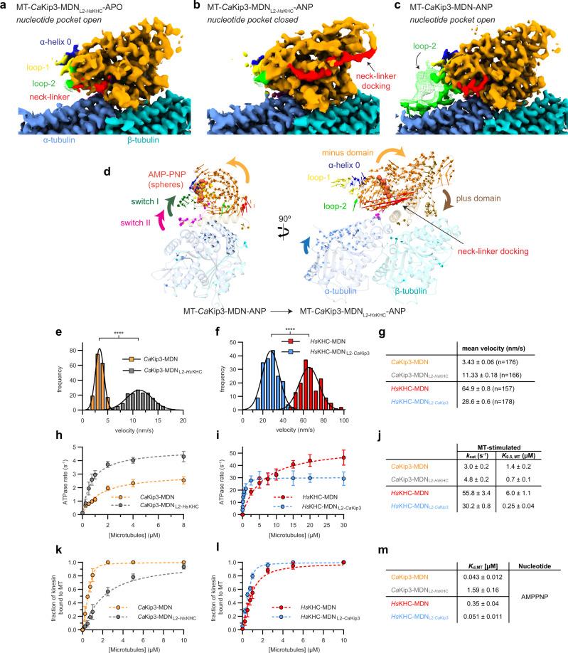 https://cdn.ncbi.nlm.nih.gov/pmc/blobs/f3b4/9300613/6e7849b3583f/41467_2022_31794_Fig4_HTML.jpg