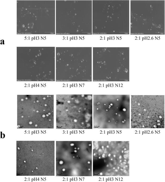 https://cdn.ncbi.nlm.nih.gov/pmc/blobs/f3b4/9583030/308d292b44b4/gr3.jpg