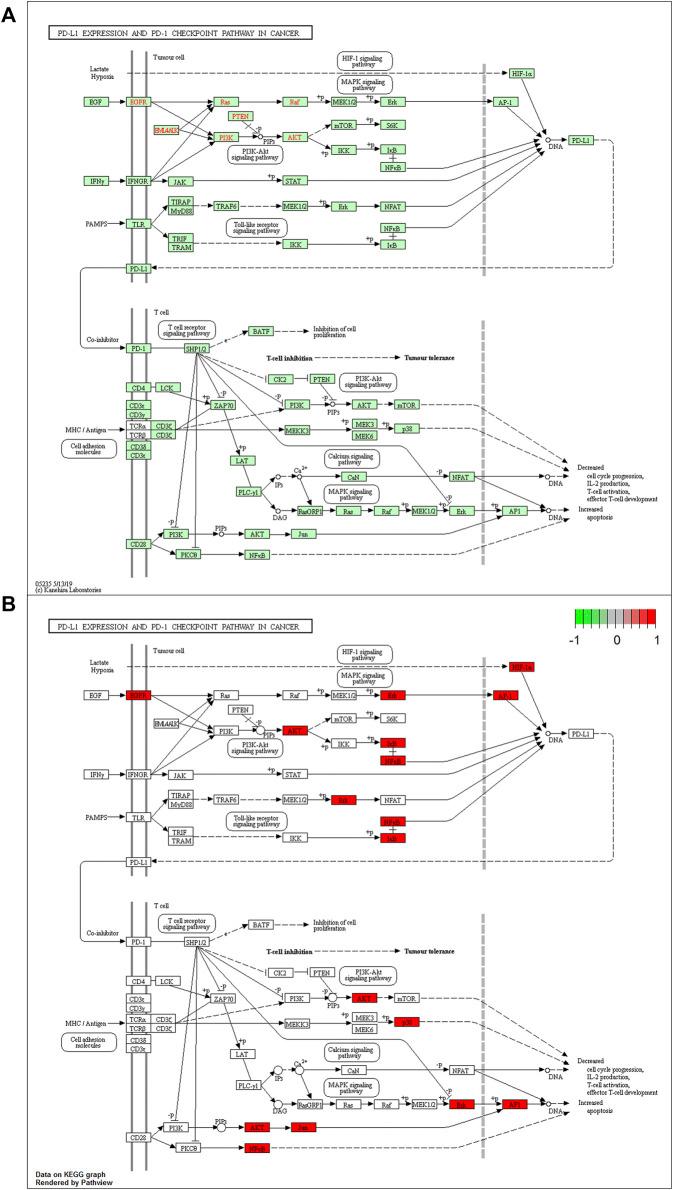 https://cdn.ncbi.nlm.nih.gov/pmc/blobs/f3b5/9454399/c822e85c927e/fphar-13-897966-g005.jpg