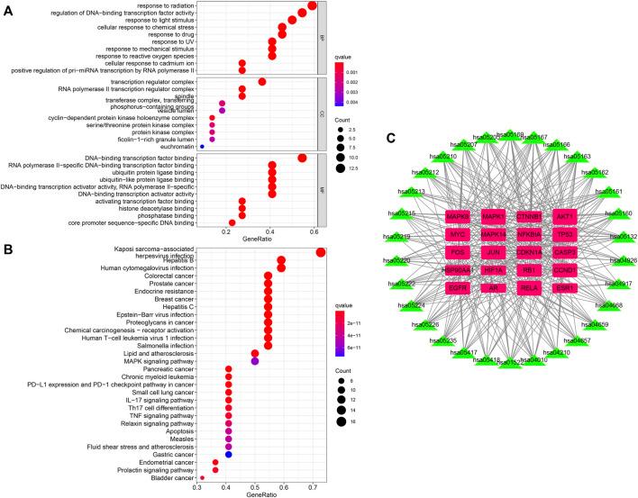 https://cdn.ncbi.nlm.nih.gov/pmc/blobs/f3b5/9454399/ca31a38e14f6/fphar-13-897966-g004.jpg