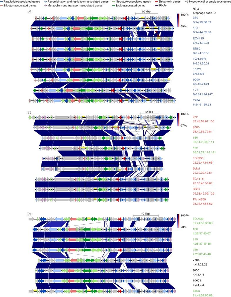 https://cdn.ncbi.nlm.nih.gov/pmc/blobs/f3b9/5359411/8d40226b62bd/mgen-02-96-f004.jpg