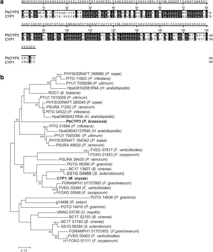 https://cdn.ncbi.nlm.nih.gov/pmc/blobs/f3b9/5854754/1513a2d6d481/438_2017_1395_Fig3_HTML.jpg