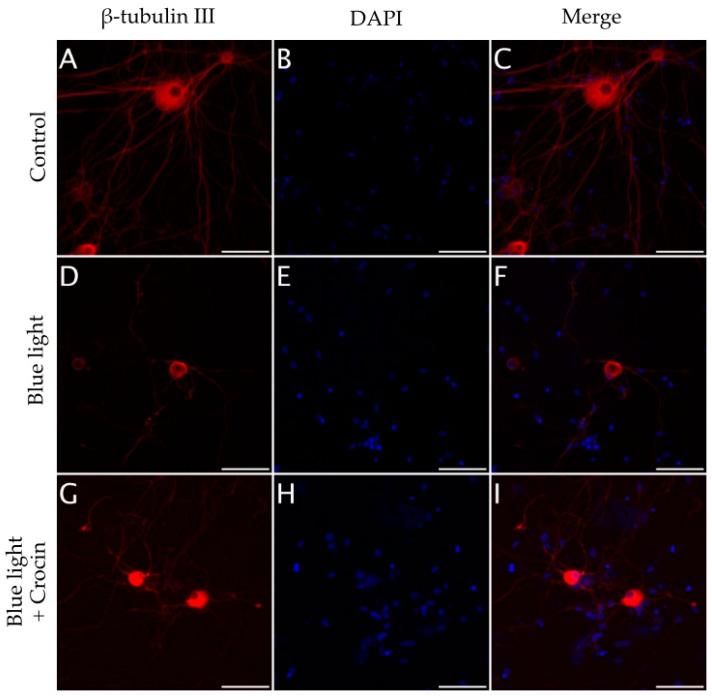 https://cdn.ncbi.nlm.nih.gov/pmc/blobs/f3ba/10818698/ac0fb2894205/molecules-29-00456-g010.jpg