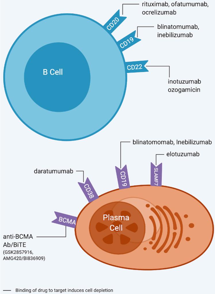 https://cdn.ncbi.nlm.nih.gov/pmc/blobs/f3ba/8246059/c0ff2d1141bd/gr4.jpg