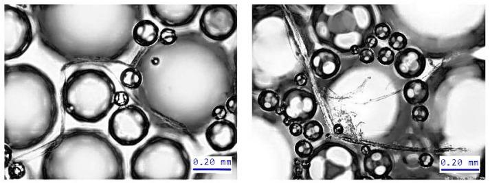 https://cdn.ncbi.nlm.nih.gov/pmc/blobs/f3ba/9143679/35373cb010cb/polymers-14-01963-g008.jpg