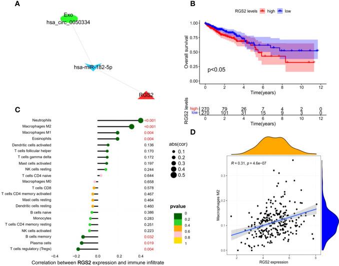 https://cdn.ncbi.nlm.nih.gov/pmc/blobs/f3bb/9339618/3a7019937e0a/fimmu-13-919014-g006.jpg