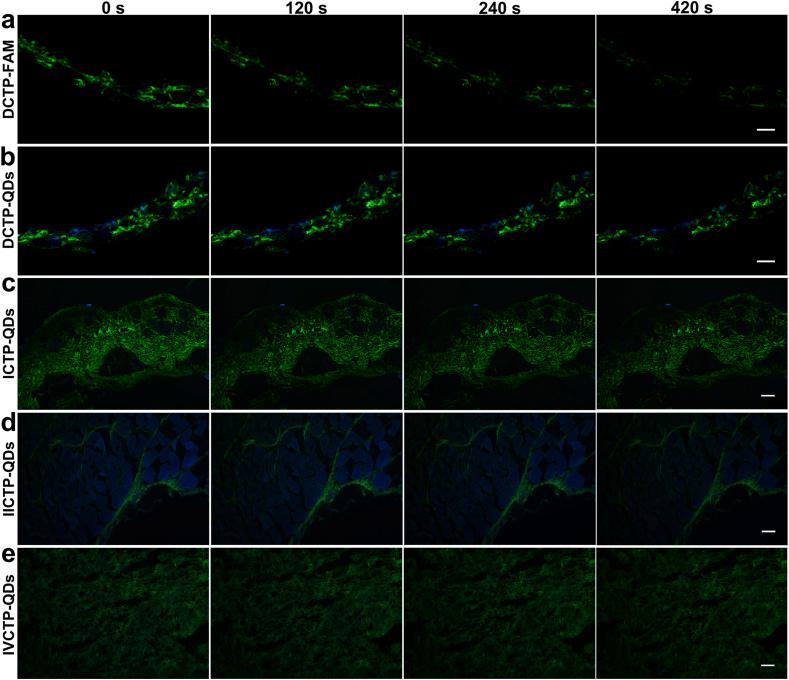 https://cdn.ncbi.nlm.nih.gov/pmc/blobs/f3bd/10959700/5c86fe2ec687/gr3.jpg