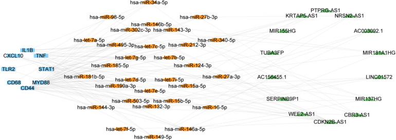 https://cdn.ncbi.nlm.nih.gov/pmc/blobs/f3c1/10806165/0fded532bc1d/fcvm-10-1322252-g006.jpg