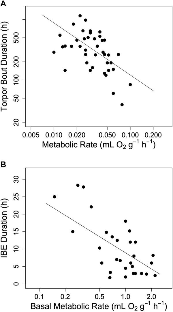 https://cdn.ncbi.nlm.nih.gov/pmc/blobs/f3c2/9266152/e392d910ce03/fphys-13-901270-g002.jpg