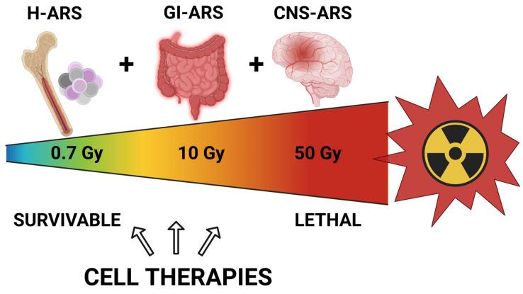 https://cdn.ncbi.nlm.nih.gov/pmc/blobs/f3c3/11241804/6e9fef5009bd/ijms-25-06973-g001.jpg