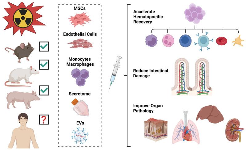 https://cdn.ncbi.nlm.nih.gov/pmc/blobs/f3c3/11241804/f10a7c8f2751/ijms-25-06973-g002.jpg