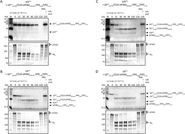 https://cdn.ncbi.nlm.nih.gov/pmc/blobs/f3c4/4815241/78cbdeeabc46/PRO-24-1979-g007.jpg