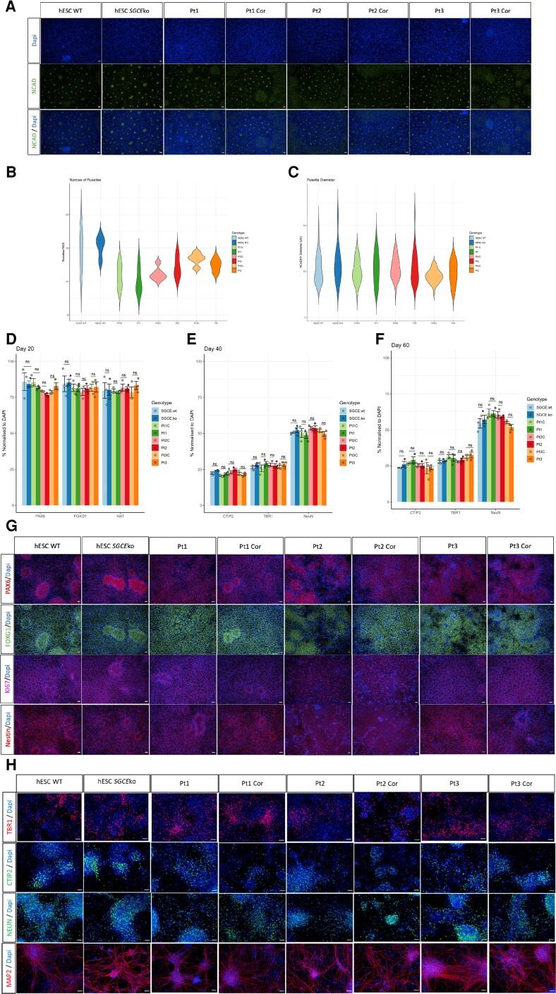 https://cdn.ncbi.nlm.nih.gov/pmc/blobs/f3c8/10115238/5db5d94a9368/awac365f2.jpg