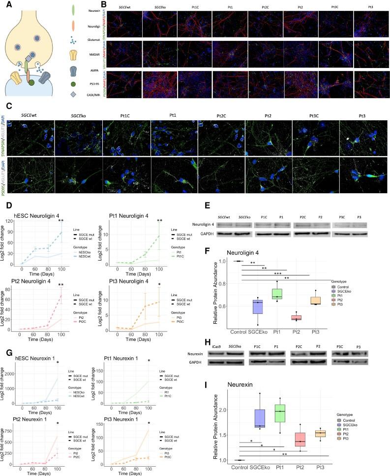 https://cdn.ncbi.nlm.nih.gov/pmc/blobs/f3c8/10115238/a374b9424991/awac365f7.jpg