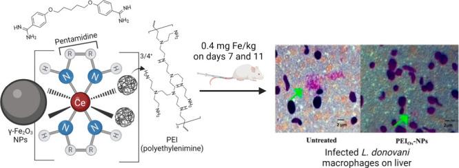 https://cdn.ncbi.nlm.nih.gov/pmc/blobs/f3ca/11320585/d0e4b278e77b/id4c00231_0007.jpg