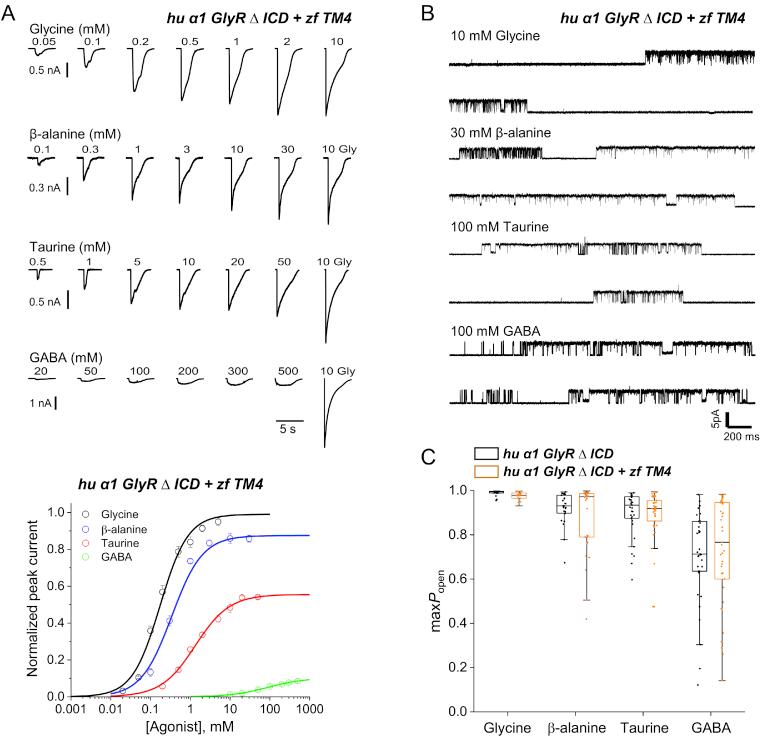 https://cdn.ncbi.nlm.nih.gov/pmc/blobs/f3ca/7995613/5c68d05d38d9/gr5.jpg