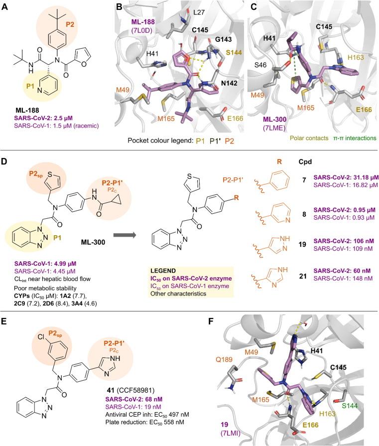 https://cdn.ncbi.nlm.nih.gov/pmc/blobs/f3d0/10074736/2252557487d9/gr6_lrg.jpg