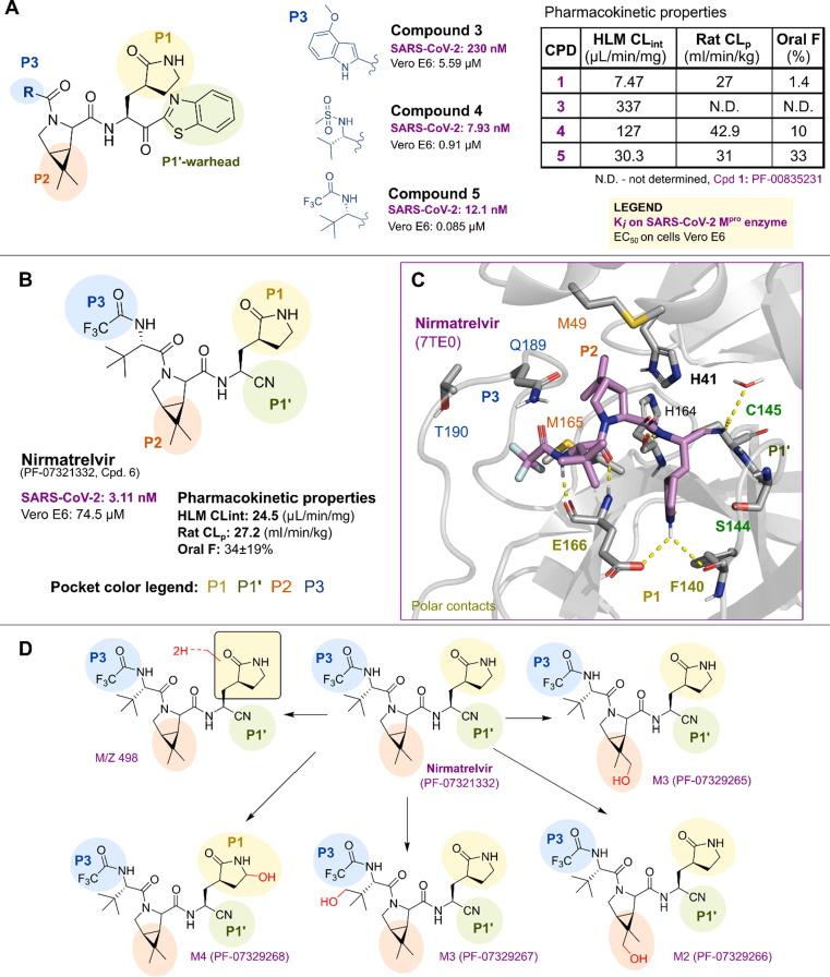 https://cdn.ncbi.nlm.nih.gov/pmc/blobs/f3d0/10074736/3e7614c2348a/gr11_lrg.jpg